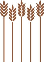 Modern/Nature Decals