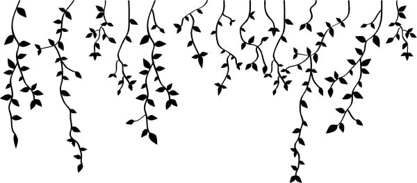 Modern/Nature Decals